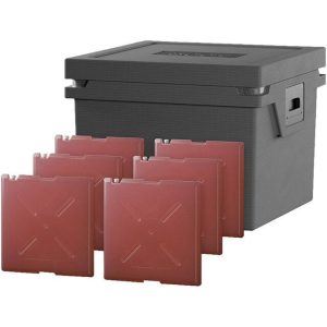 Glacière QOOL Eco+ L avec 6 pains glacés Standard Cool
